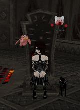 Guest_Sices