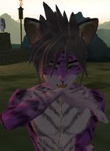 Guest_ThePurpleBeany