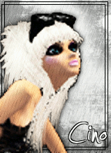 Guest_cinomeida