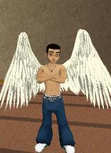 Guest_CS38