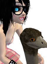 avatar image