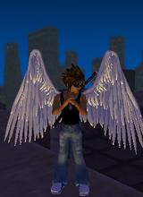 Guest_shadowstine