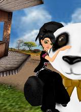 avatar picture