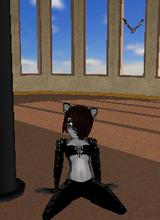 Guest_Hellen14
