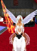 Guest_cadygirl20