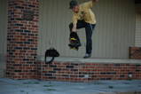 Guest_carsonyork