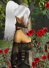 RavenLovly