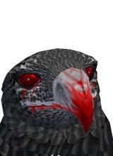 Guest_firedead12
