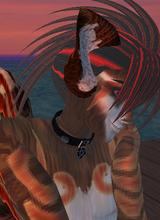 13FallenAngel13_disabled_2167177
