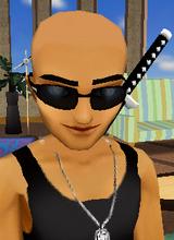 Guest_shadowhawk01