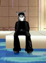 Guest_foxboy41