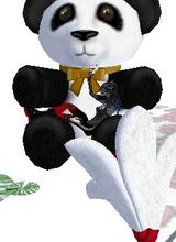 Guest_myxomatoz