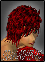 Cdnladybug
