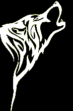 Avatar pic