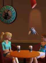 Guest_Jah01