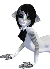Tabby