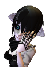 Tabby