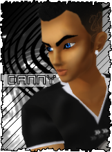 Dannymeester