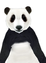 chen103