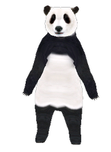chen103