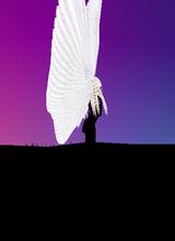 MoonlightDreamerXX