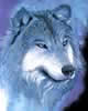 DeuceWolfShadow