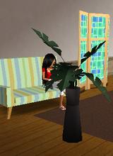 Guest_Anyanm