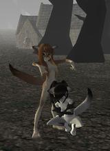 Guest_skyXloveXcats