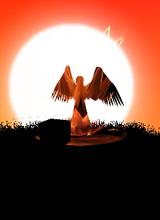 Guest_EagleSun1