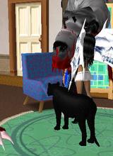 Guest_Lllll254