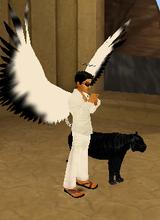 Baggini