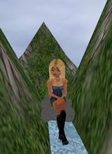 Guest_awrt
