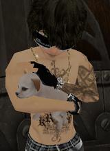Guest_willster32