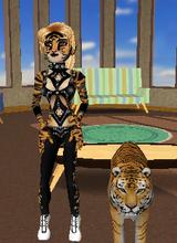Guest_TheTigerLady