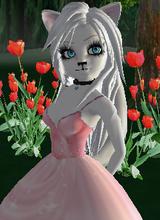 Guest_wildThing0007