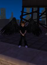 Guest_natdude