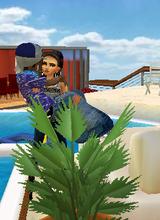 avatar picture
