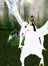 avatar picture