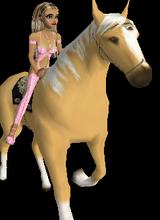 TexasTigress77
