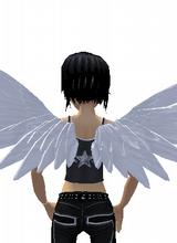 Guest_VNics