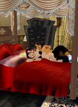 Guest_michael56755