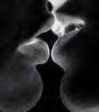 Guest_BrokenHearted150