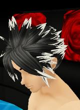 Guest_assassin6654
