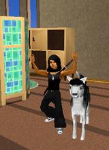 Guest_BDmans