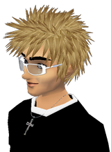 avatar picture