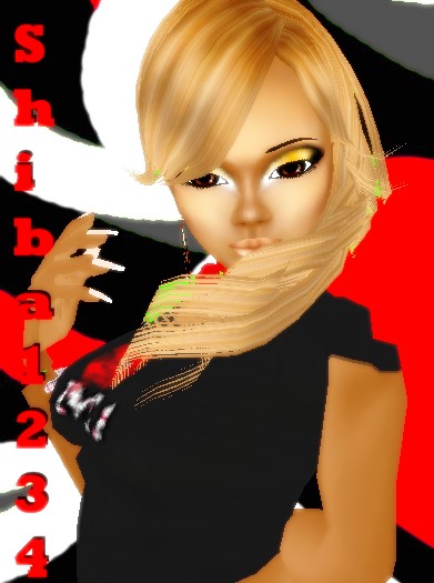 Shiba1234
