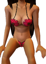 Guest_holidaywings