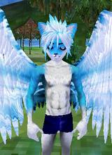 Guest_AllenCWalker0