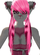 NoodleKitty