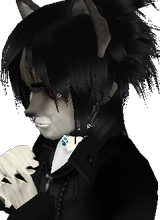 Guest_Zanco12